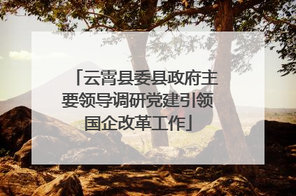云霄县委县政府主要领导调研党建引领国企改革工作