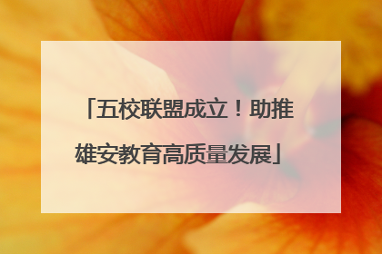 五校联盟成立！助推雄安教育高质量发展