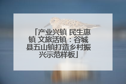 产业兴镇 民生惠镇 文旅活镇：谷城县五山镇打造乡村振兴示范样板