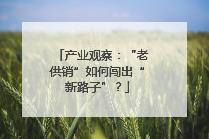 产业观察：“老供销”如何闯出“新路子”？