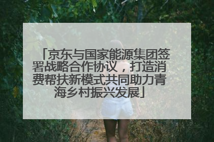 京东与国家能源集团签署战略合作协议，打造消费帮扶新模式共同助力青海乡村振兴发展