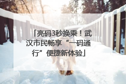 亮码3秒换乘！武汉市民畅享“一码通行”便捷新体验