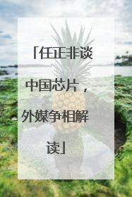 任正非谈中国芯片，外媒争相解读