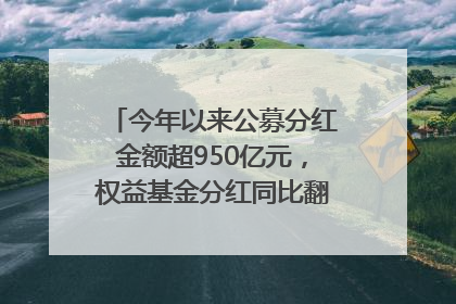 今年以来公募分红金额超950亿元，权益基金分红同比翻倍｜招财猫