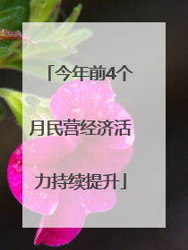 今年前4个月民营经济活力持续提升