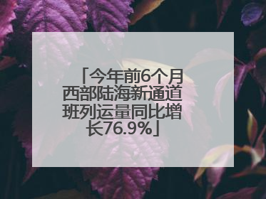 今年前6个月西部陆海新通道班列运量同比增长76.9%