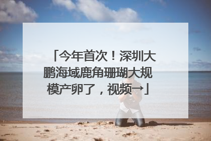 今年首次！深圳大鹏海域鹿角珊瑚大规模产卵了，视频→