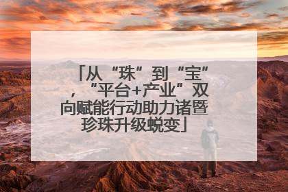 从“珠”到“宝”，“平台+产业”双向赋能行动助力诸暨珍珠升级蜕变