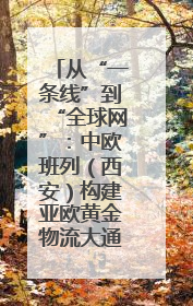 从“一条线”到“全球网”：中欧班列（西安）构建亚欧黄金物流大通道