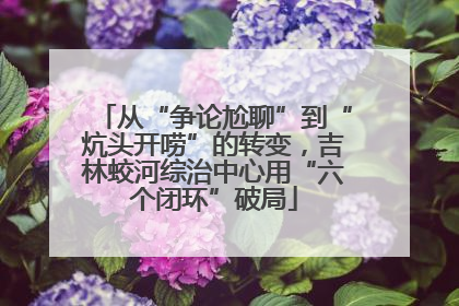 从“争论尬聊”到“炕头开唠”的转变，吉林蛟河综治中心用“六个闭环”破局