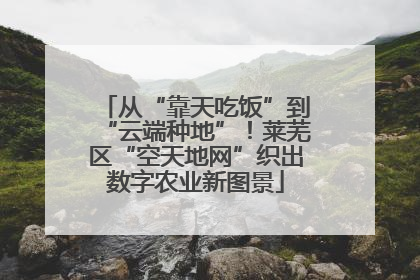 从“靠天吃饭”到“云端种地”！莱芜区“空天地网”织出数字农业新图景