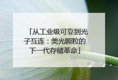 从工业级可靠到光子互连：美光颗粒的下一代存储革命