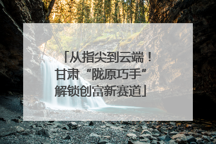 从指尖到云端！甘肃“陇原巧手”解锁创富新赛道