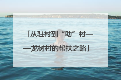 从驻村到“助”村——龙树村的帮扶之路