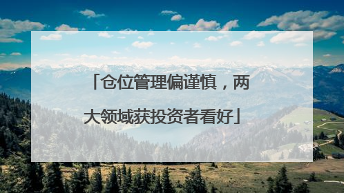 仓位管理偏谨慎，两大领域获投资者看好