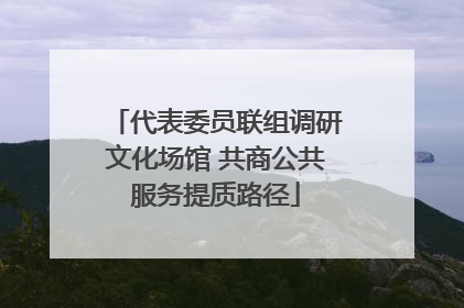 代表委员联组调研文化场馆 共商公共服务提质路径