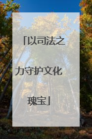 以司法之力守护文化瑰宝