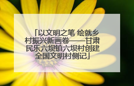 以文明之笔 绘就乡村振兴新画卷——甘肃民乐六坝镇六坝村创建全国文明村侧记