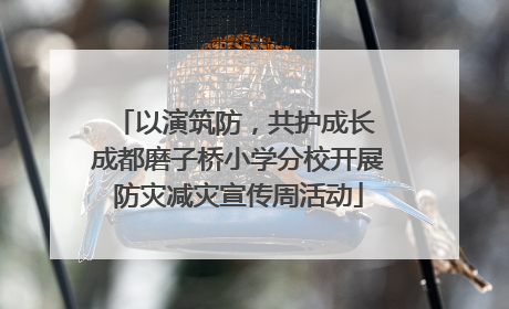 以演筑防，共护成长 成都磨子桥小学分校开展防灾减灾宣传周活动