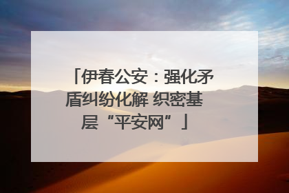 伊春公安：强化矛盾纠纷化解 织密基层“平安网”