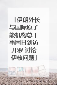 伊朗外长与国际原子能机构总干事同日到访开罗 讨论伊核问题