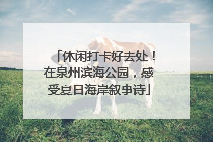 休闲打卡好去处！在泉州滨海公园，感受夏日海岸叙事诗