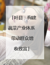 叶县：构建蔬菜产业体系 带动群众增收致富