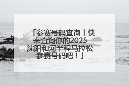 参赛号码查询丨快来查询你的2025沈阳和河半程马拉松参赛号码吧！