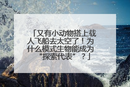 又有小动物搭上载人飞船去太空了！为什么模式生物能成为“探索代表”？