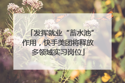 发挥就业“蓄水池”作用，快手美团将释放多领域实习岗位