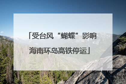 受台风“蝴蝶”影响 海南环岛高铁停运