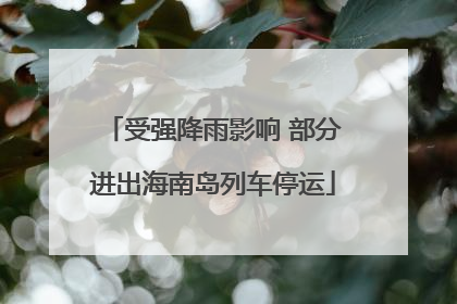 受强降雨影响 部分进出海南岛列车停运