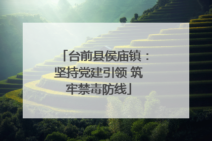 台前县侯庙镇：坚持党建引领 筑牢禁毒防线
