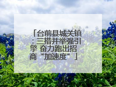 台前县城关镇：三措并举强引擎 奋力跑出招商“加速度”