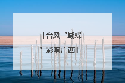 台风“蝴蝶”影响广西