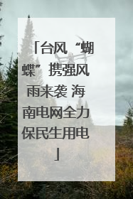台风“蝴蝶”携强风雨来袭 海南电网全力保民生用电
