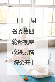 十一届省委第四轮巡视整改进展情况公开