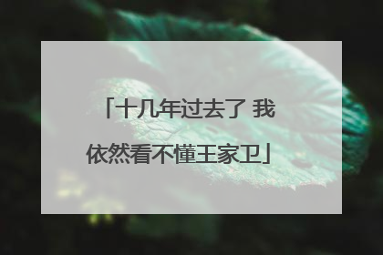 十几年过去了 我依然看不懂王家卫