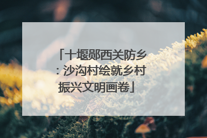 十堰郧西关防乡：沙沟村绘就乡村振兴文明画卷
