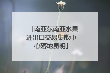 南亚东南亚水果进出口交易集散中心落地昆明