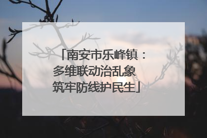 南安市乐峰镇：多维联动治乱象 筑牢防线护民生
