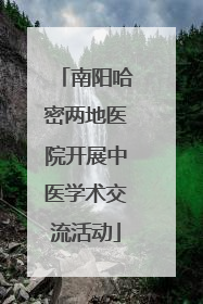 南阳哈密两地医院开展中医学术交流活动