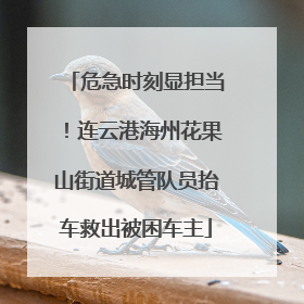 危急时刻显担当！连云港海州花果山街道城管队员抬车救出被困车主