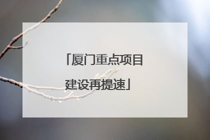 厦门重点项目建设再提速