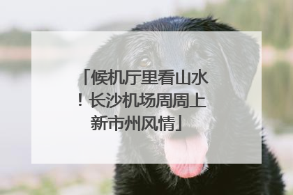 候机厅里看山水！长沙机场周周上新市州风情