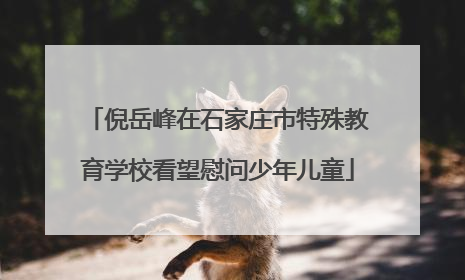 倪岳峰在石家庄市特殊教育学校看望慰问少年儿童
