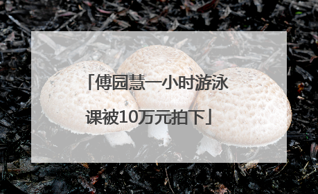 傅园慧一小时游泳课被10万元拍下