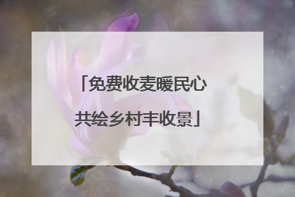 免费收麦暖民心 共绘乡村丰收景