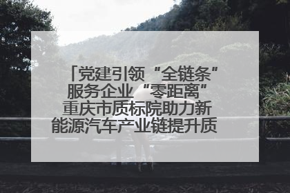 党建引领“全链条” 服务企业“零距离” 重庆市质标院助力新能源汽车产业链提升质量管理水平