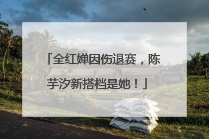全红婵因伤退赛，陈芋汐新搭档是她！